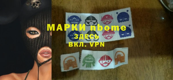 гашик Алексин