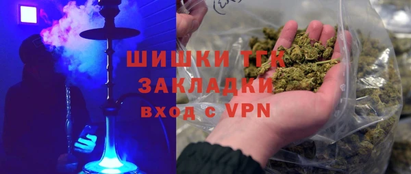 гашик Алексин