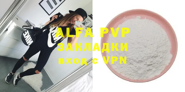 гашик Алексин