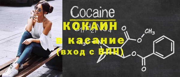 стафф Новозыбков